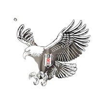 Çok Renkli