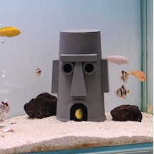 Squidward Balık Yuvası Akvaryum Aksesuarı Sünger Bob Temalı Bal