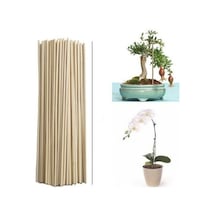 Saksı Bitkileri Destek Çubuğu 35 Cm 50 AD