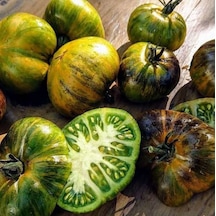 Yeşil Etli Xanadu Green Goddess Domates Tohumu 15 Tohum
