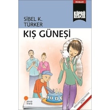 Kış Güneşi - Aıaı-826059