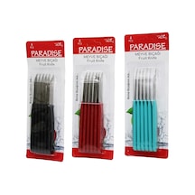 6 Parça Meyve Bıçak Renkli Plastik Saplı Bx40