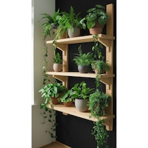 Doğal Çam Masif Ahşap 3 Katlı Duvar Rafı - 80x50 Cm Mutfak Banyo Çiçeklik Kitaplık Raf Bej