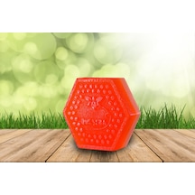 Quesera Doğal El Yapımı Argan Sabunu 80 G