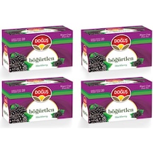 Doğuş Böğürtlen Meyve Süzen Poşet Çay 4'lü 20 x 2 G