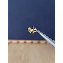 %100 G23 Titanyum Kedi Altın Titanyum Model Titanyum Labret Kıkırdak Piercing