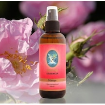 Defne Nuka Essencia Gül Suyu 100 ML