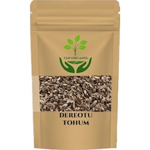 Dereotu Tohumu Anethum Graveolens 225 Gr