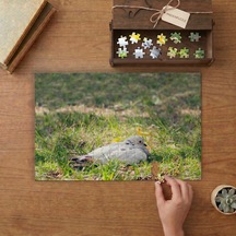 Beyaz Güvercin Tasarımı 240 Parça Ahşap Puzzle Ahşap Kutuda Mpy50409