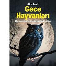 Gece Hayvanları - Meraklı Minikler İçin İlk Okuma Kitapları- Panda
