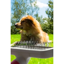 Thentech Kedi Köpek Evcil Hayvan Tüy Toplama Tarağı İkili Set Acıtmaz Özel Tasarım Tüy Toplama Fırçası