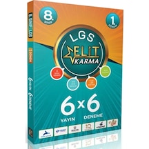 8.sınıf Lgs Elit Karma 6x6 Deneme