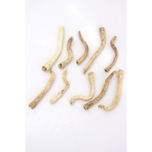Yapay Çiçek Deposu Tropikal Deniz Sahil Odunu Driftwood 10 Adet