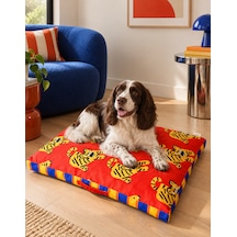 Orta Irk Köpek Ve Kedi Yatağı - Renkli 80x60 Cm Jagger