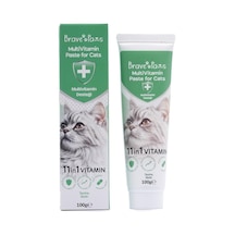 Kedi Multivitamin Kedi Malt Macunu Kedi Vitamini 11 Vitaminli