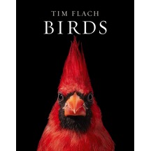 Birds: Photographs