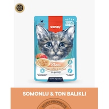 Wanpy Pouch Somon-ton Yaş Yavru Kedi Maması 70gr