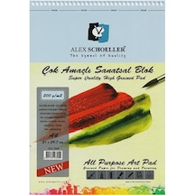 ALEX SCHOELLER ÇOK AMAÇLI 200 GR A4 20.Lİ SPİRALLİ RESİM DEFTERİ