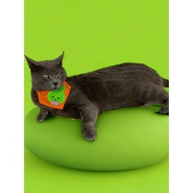Kemique Green Bunny Kedi Bandana Fular Kedi Kıyafeti