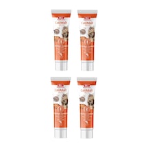 Bio Petactive Catimalt Plus Tüy Yumağı Önleyeci Malt Macun 100 G X 4 Adet