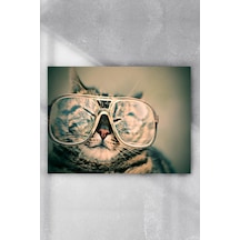 Kedi Eğlenceli Mizahi Poster 2