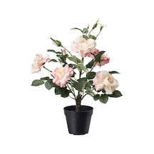 Ikea Fejka Saksılı Yapay Gül 47 Cm Siyah Koyu Yeşil Beyaz Pembe Çok  Renkli