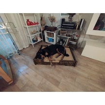 Pet Dizayn Bilboa Büyük Köpek Yatağı 2XL