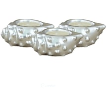 Mumluk Şamdan 3 Adet Tealight Uyumlu Deniz Kabuğu Mum Model - Gümüş