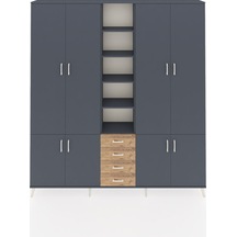 Antrasit - Atlas Çam