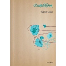 Divaneliklerim - Yqbx-635717