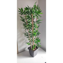 Rüzgar Çiçekcilik 110 Cm 5 Li Bambu Yeşil