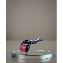 Dermaroller 1 Mm Titanyum 540 İğneli Xuczzdermaroller-2