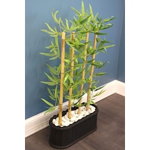Yapay Çiçek Deposu Yapay Bambu Seperatör Siyah Saksılı 20x50x105cm