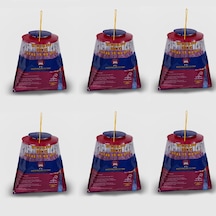 6 ADET FLY JAIL XL – POŞET KARASİNEK TUZAĞI