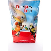 Muhabbet Kuşu Pelet Yem 5 KG