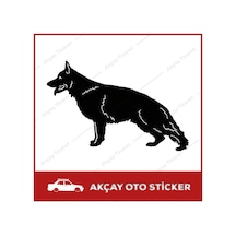 Alman Kurdu Sticker Kurt Sticker Araba Sticker Oto Sticker