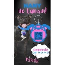 Petjoo 17.Nany Pembe-Mavi Qr'lı Köpek Künyesi