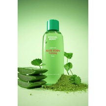 Defacto Eqqualberry Aloe PDRN Calming Toner Bariyer Destekleyici Kuruluk Kaynaklı Kızarıklık ve Stres Karşıtı Tonik H6480AXNS