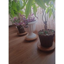 Altınoluk İnci Ahşap Ahşap Saksı Damacana Tüp Altlığı