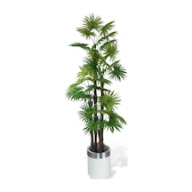 Yapay Ağaç Yelpaze Palmiye 4katlı Fanpalm 32 Yaprak Gümüş Kemerli Beyaz Saksıda 170 65cm
