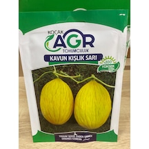 Agr Kavun Kışlık Sarı Tohumu