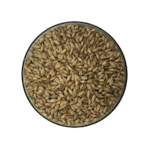 Hitit Malt Viyana Arpa Maltı 1 KG