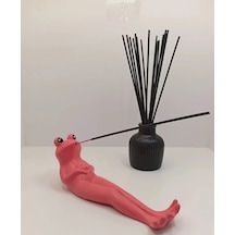 Tedi Sanat Tedisanat Pembe Kurbağa Çubuk Tütsülük 20 Adet Çubuk Tütsü Hediyeli