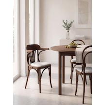 Thonet Kolçaklı Klasik Ahşap Sandalye Ceviz