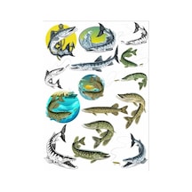 Balık Sticker Set