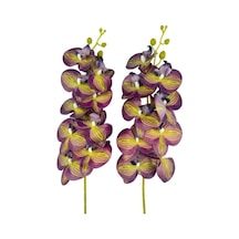 Yapay Çiçek Mor Sarı Çizgi Desenli Islak Orkide Gerçeksi Doku Uzun Dal 90 Cm Çok Renkli