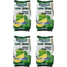 Poli Toz İçecek Nane Limon 300 Gr X 4 Adet 300 G
