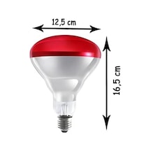 250w Infrared Kırmızı Ampul E27 Isıtıcılı Lamba Kırmızı Işık