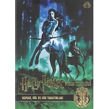 Harry Potter Film Dehlizi Kitap 1: Orman Göl ve Gök Sakinleri - Jody Revenson - Teras Kitap