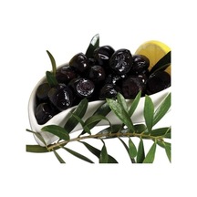 3 Yaş Gemlik Trilye Sofralık Zeytin Fidanı
